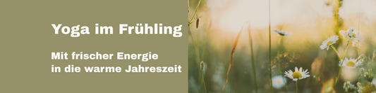 Yoga im Frühling: Mit frischer Energie in die blühende Jahreszeit